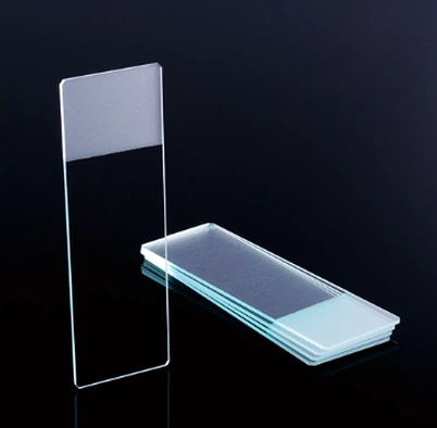 Cam Mikroskop Slaytları