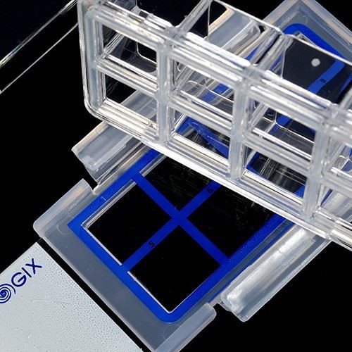 Factory Sale Various Widely Used Tissue China Cell Culture Slides Manufacturer