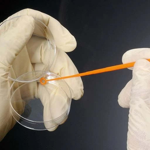 Laboratory Consumables 10UL Inoculating Loops