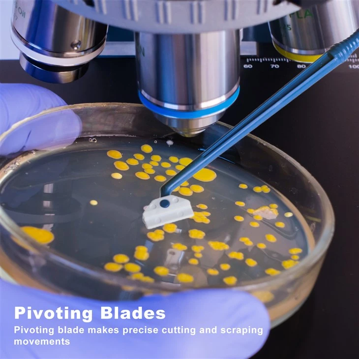 Cell Scrapers 18cm Gamma Sterile PE Material